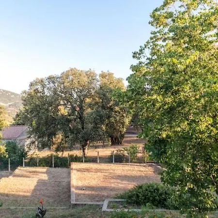 Dans Maison Chaleureuse Apartment *